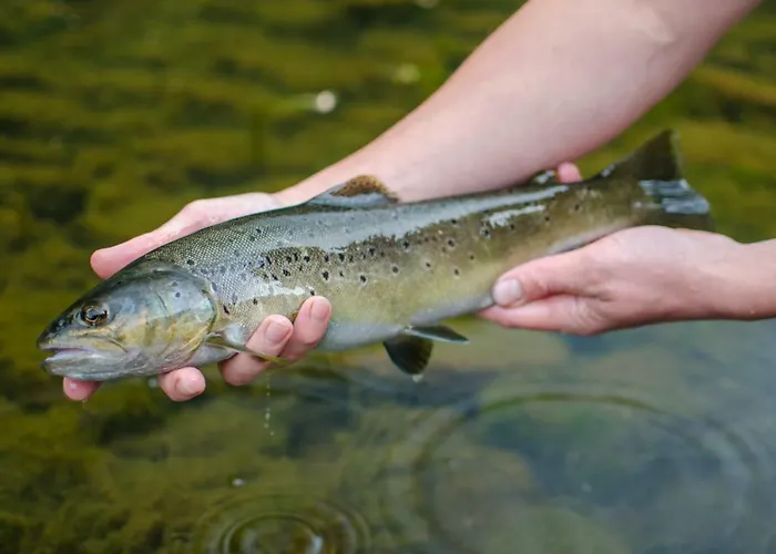 Chateau De Val アパート Lanobre